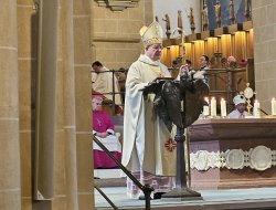 40-jähriges Priesterjubiläum Weihbischof Matthias König